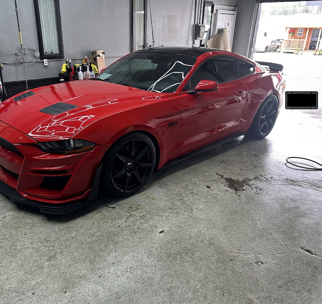 Red Ford Mustang GT 5.0 after exterior detail