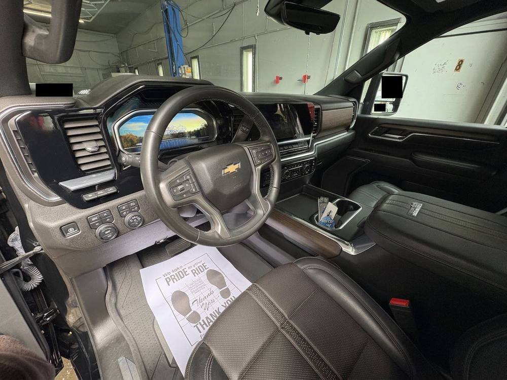 Detailer brushing a leather interior